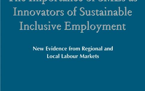 Martine Gadille, Karine Guiderdoni-Jourdain & Robert Tchobanian dans The Importance of SMEs as Innovators of Sustainable Inclusive Employment